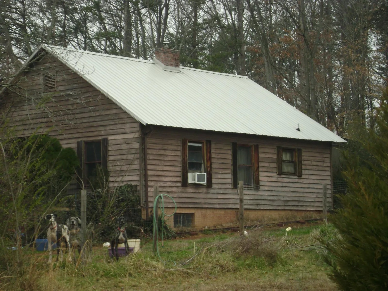 White metal roof on an old wood sided farmhouse in Groveland